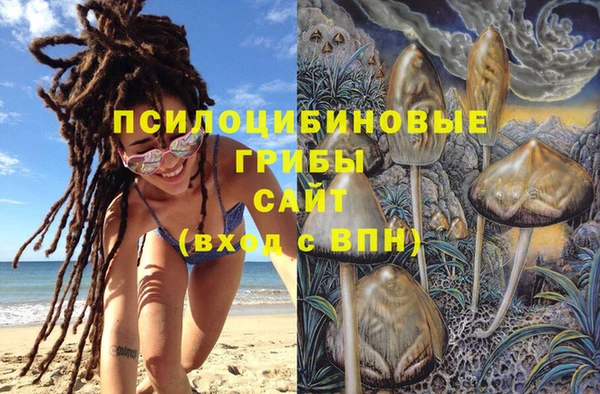 крисы Навашино