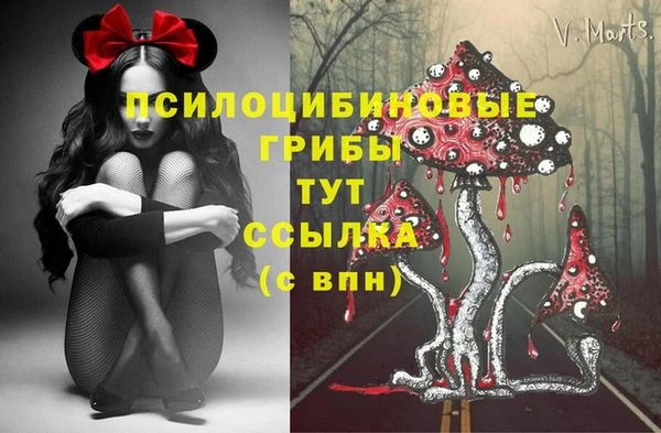 соль курить ск Нея