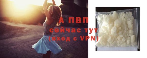 стафф Надым