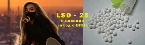 стафф Надым