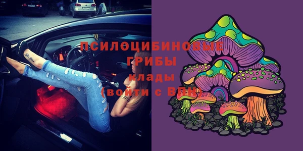 стафф Надым