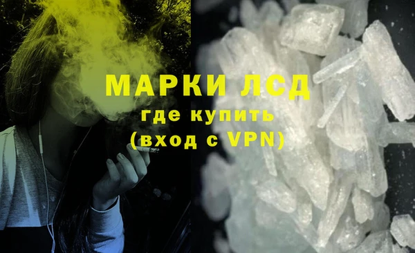 стафф Надым
