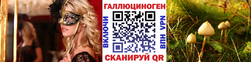 Купить где  Покачи  Псилоцибиновые грибы Psilocybe 